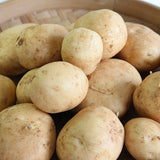 徳之島産 赤土馬鈴薯(ジャガイモ)春一番 5kg入り(税送料込)徳之島より直送!
