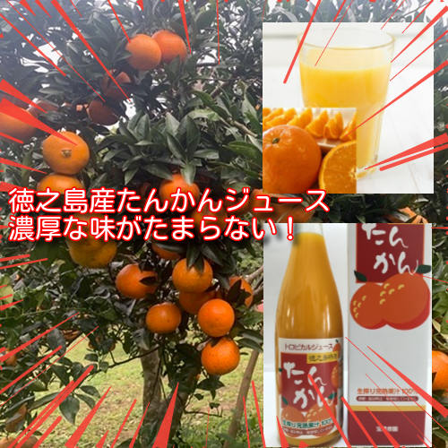 徳之島産　たんかん①　レオまま 徳之島産たんかん生ジュース 無添加 720ml入り2本セット（箱入り