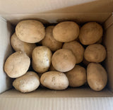 徳之島産 赤土馬鈴薯（ジャガイモ）春一番　（税送料込）徳之島より直送！