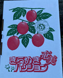 徳之島産　パッションフルーツ　１ｋｇ（１０～１２個入）