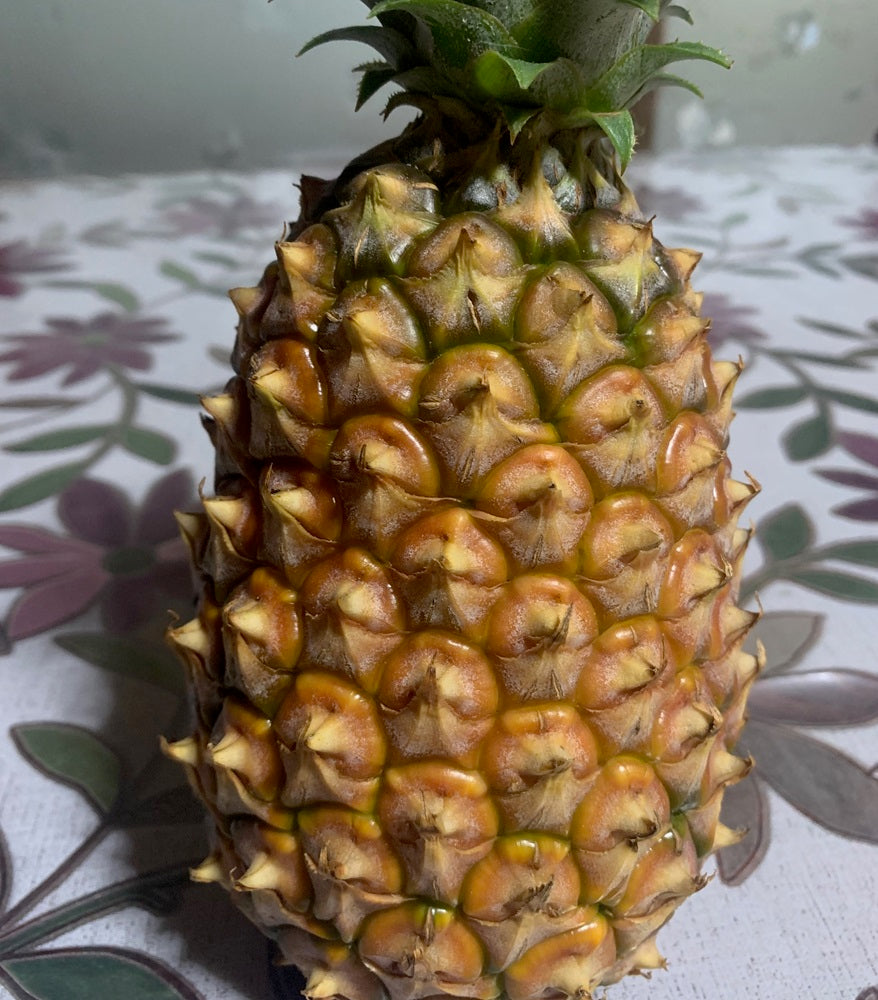 徳之島産パイナップル2～4個入（5kg～6kg）※クール便扱い – 徳之島