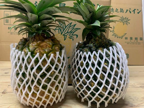 徳之島産パイナップル2～4個入（5kg～6kg）※クール便扱い – 徳之島