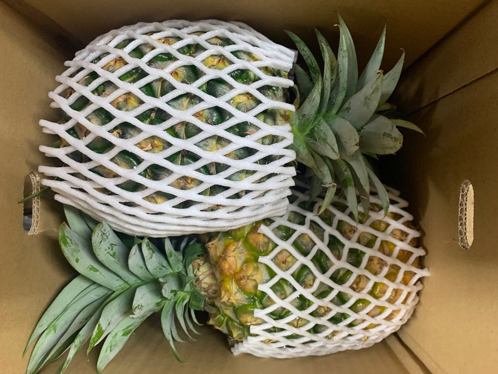 パイナップル 徳之島産パイナップル2～4個入（5kg～6kg）※クール便扱い – 徳之島