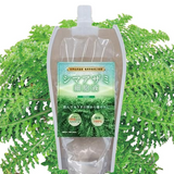 注目成分”植物エクソソーム”含有！奄美群島原産シマアザミ細胞液（税送料込み）　