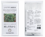 注目成分”植物エクソソーム”含有！奄美群島原産シマアザミ細胞液（税送料込み）　