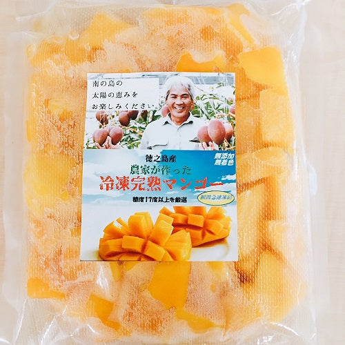 徳之島産　冷凍カットマンゴー　500ｇ入り　2袋セット