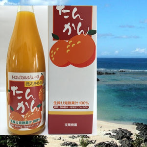 徳之島産たんかん生ジュース 無添加 720ｍｌ入り2本セット（箱入り）